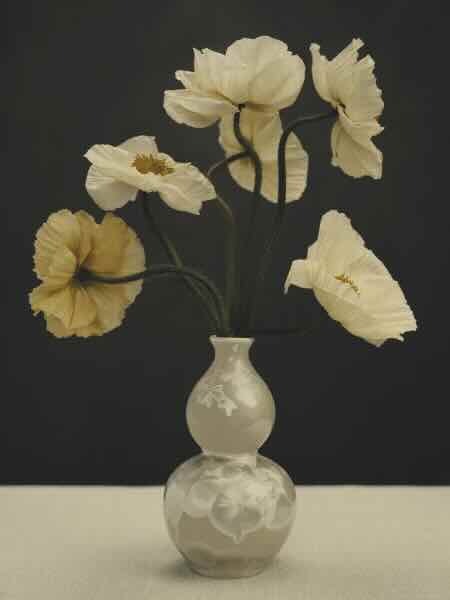 Archival pigment print van Ilona Langbroek op Canson Platine, 80 x 60 cm (editie van 5 & 2 AP), Courtesy Bildhalle