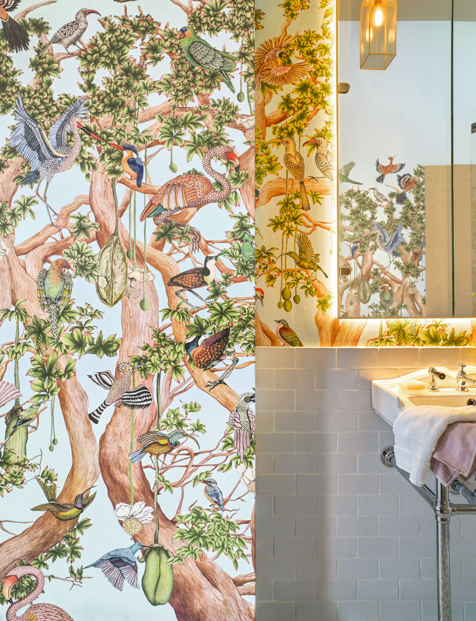 Baobab – Cole & Son x Ardmore Tree of Life