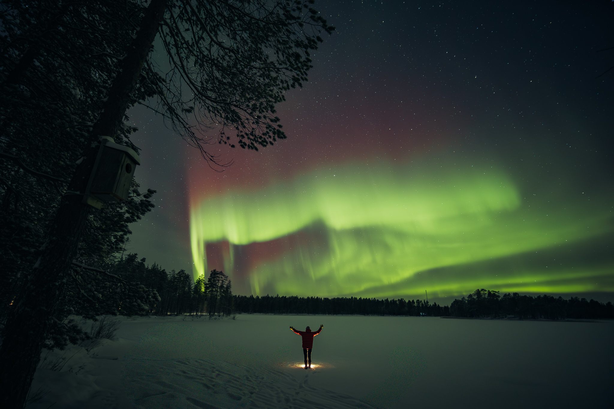 Bekijk het Noorderlicht vanaf een bevroren meer © Mikko Santasalo