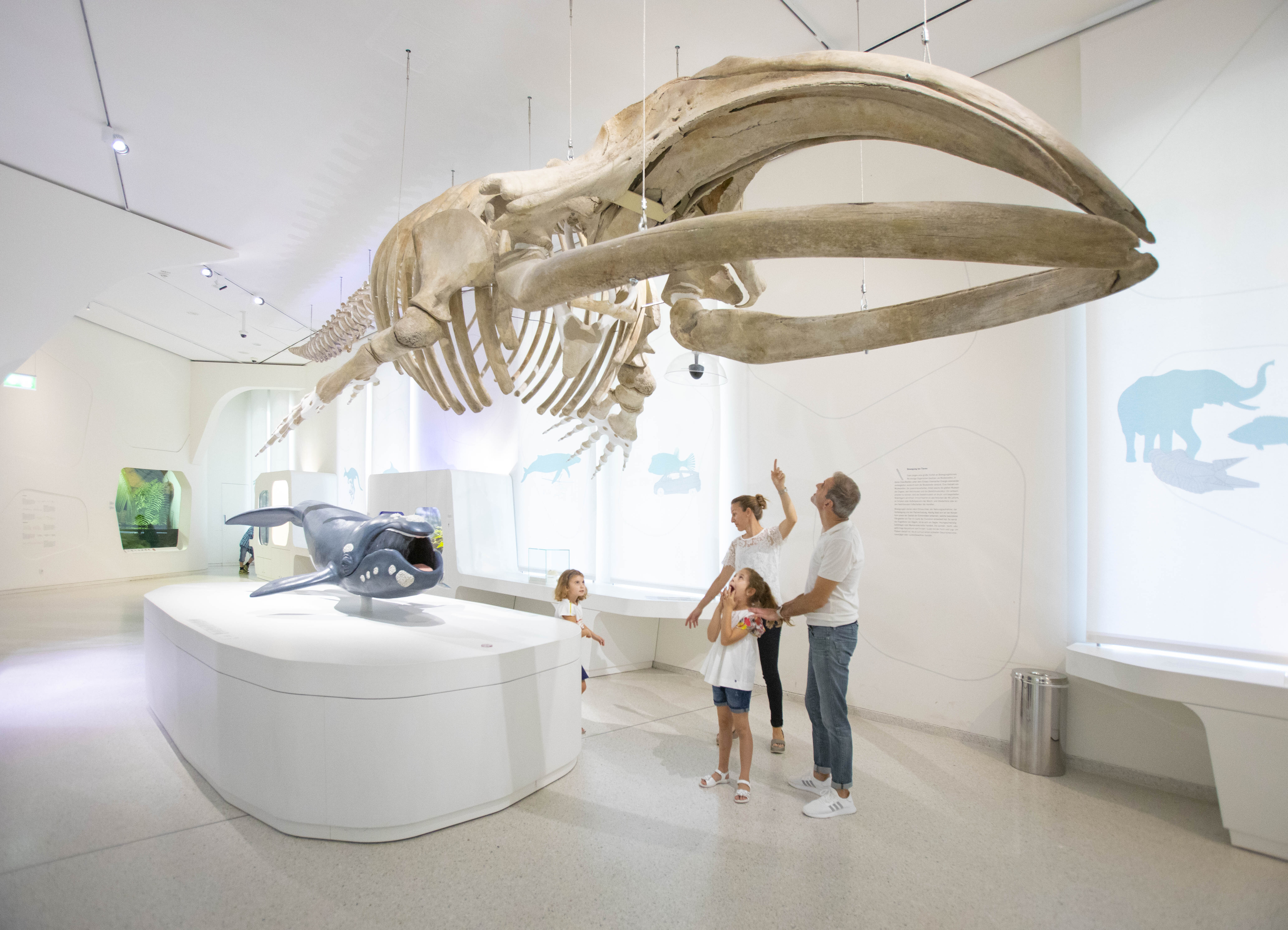 Staatliches Museum fur Naturkunde © KTG Karlsruhe Tourismus Foto Juergen Roesner