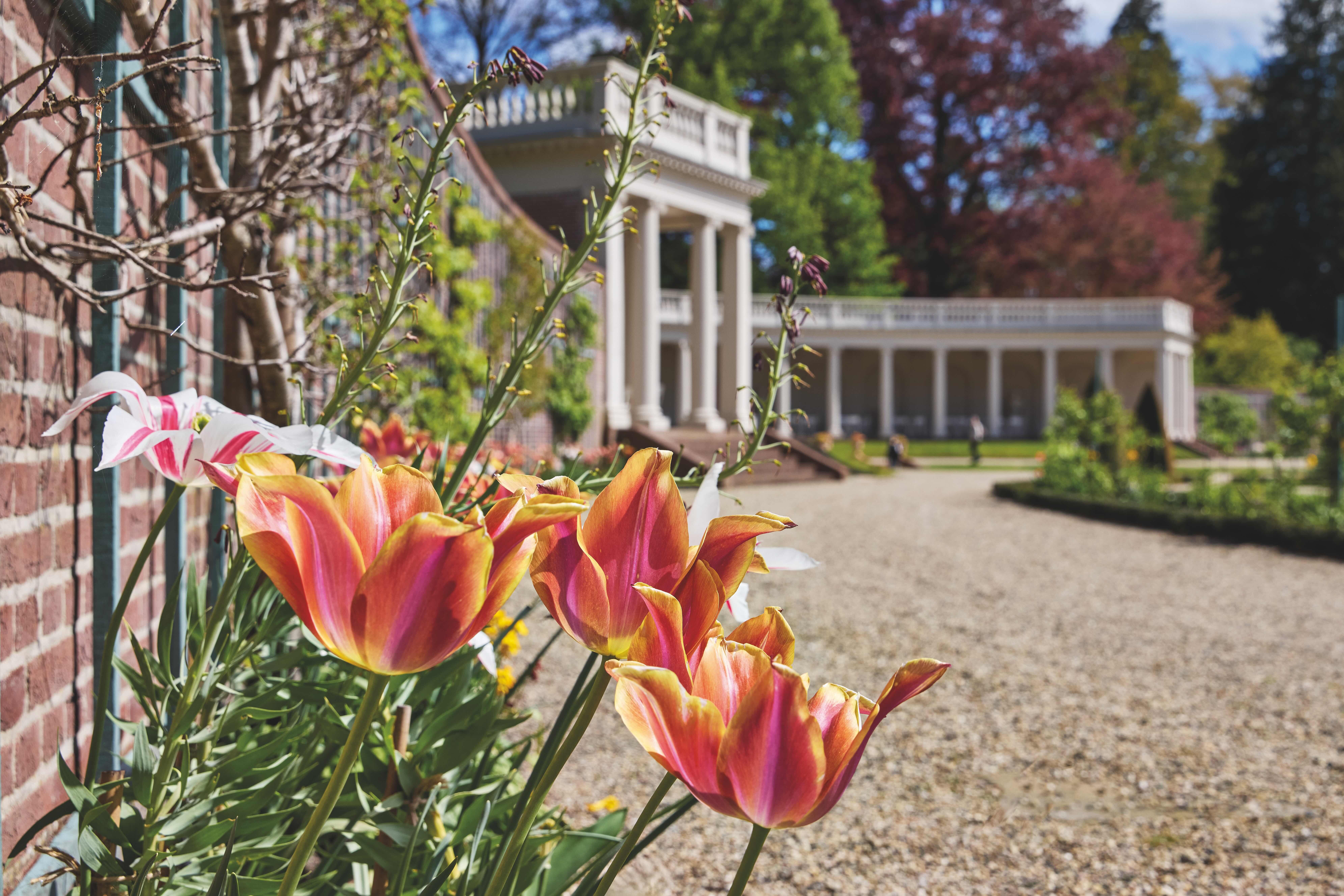 Paleis Het Loo, tuin in de lente