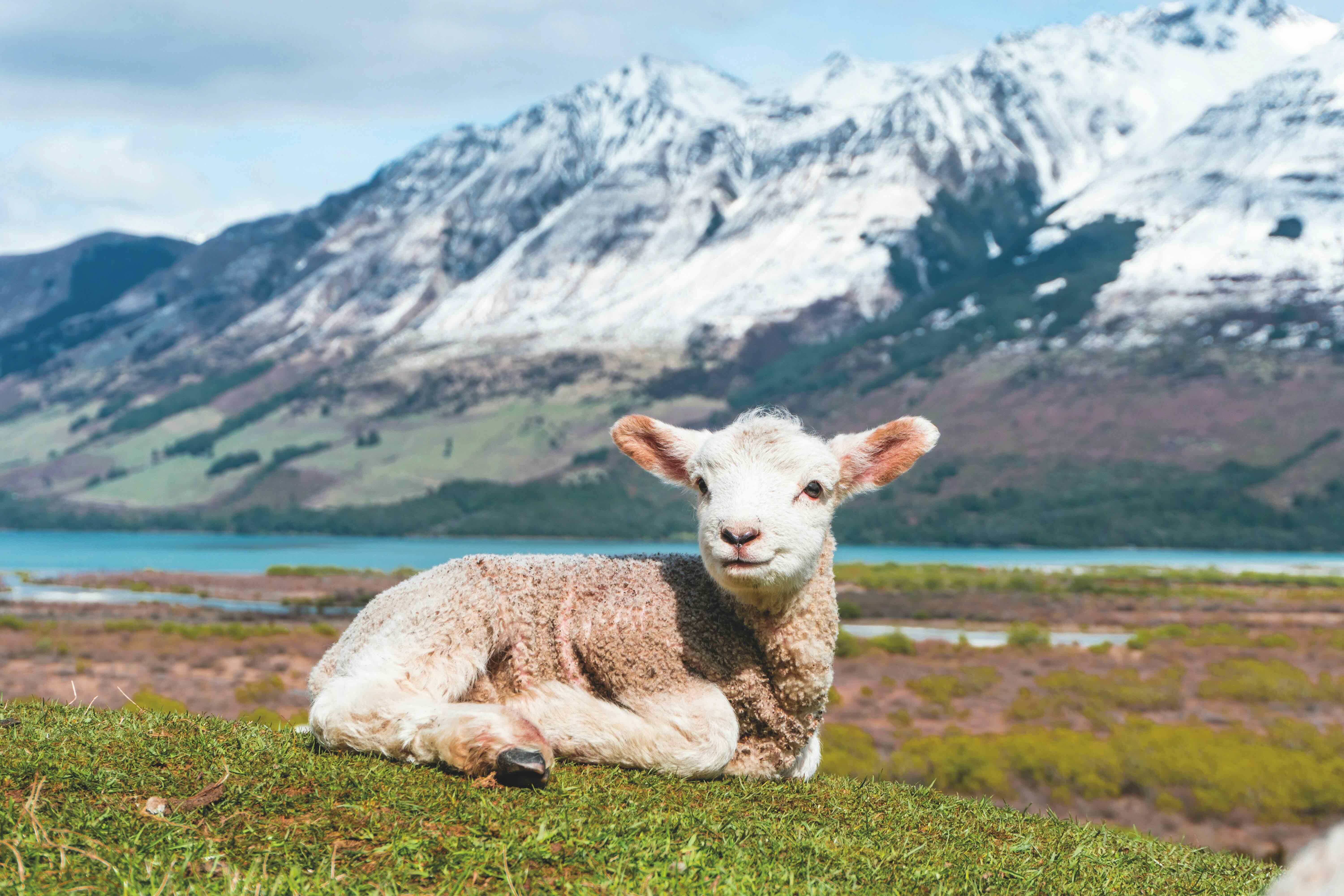 Glenorchy © Unsplash Sulthan Auliya