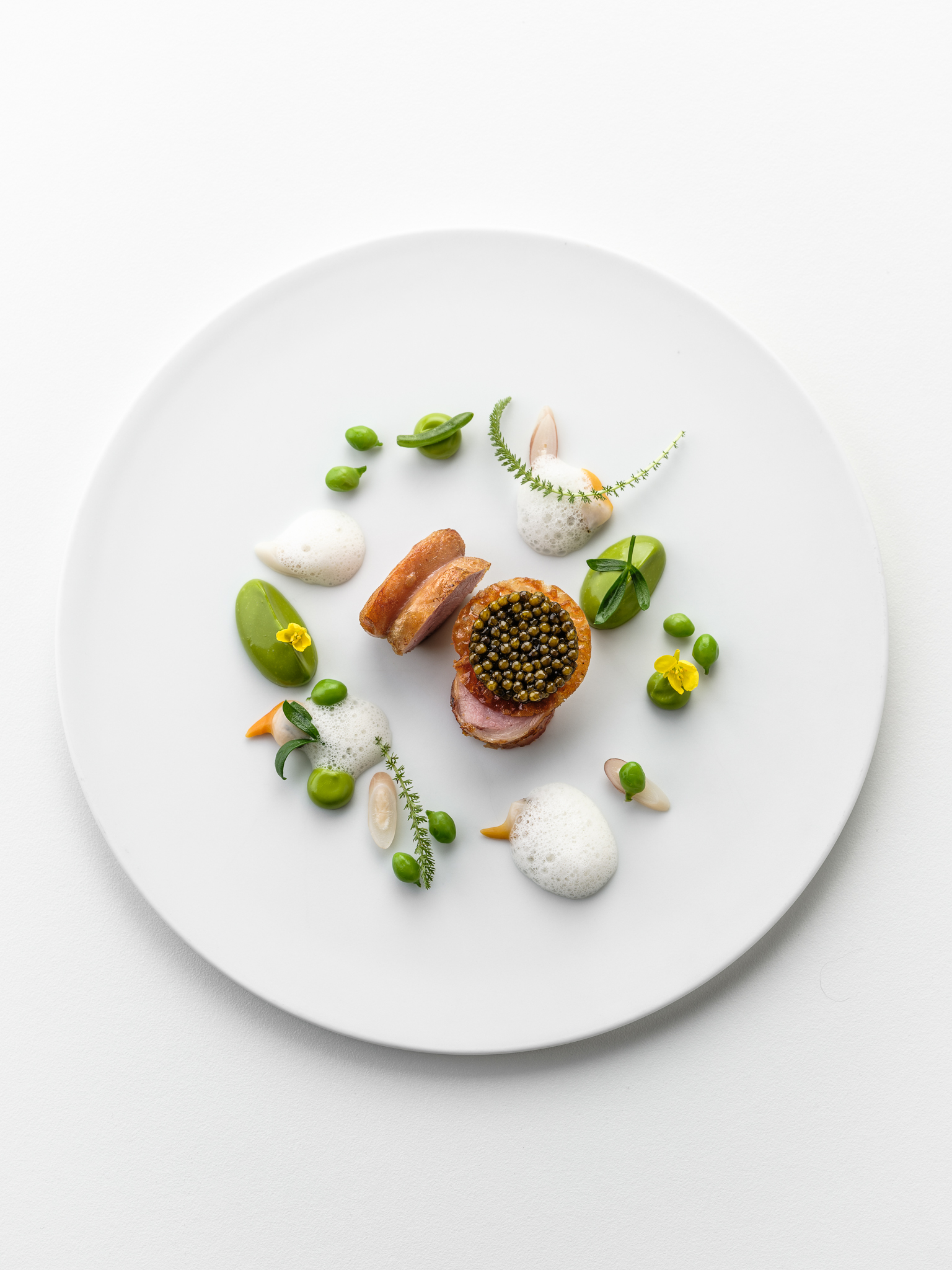 Meliefste ©Pieter D'Hoop