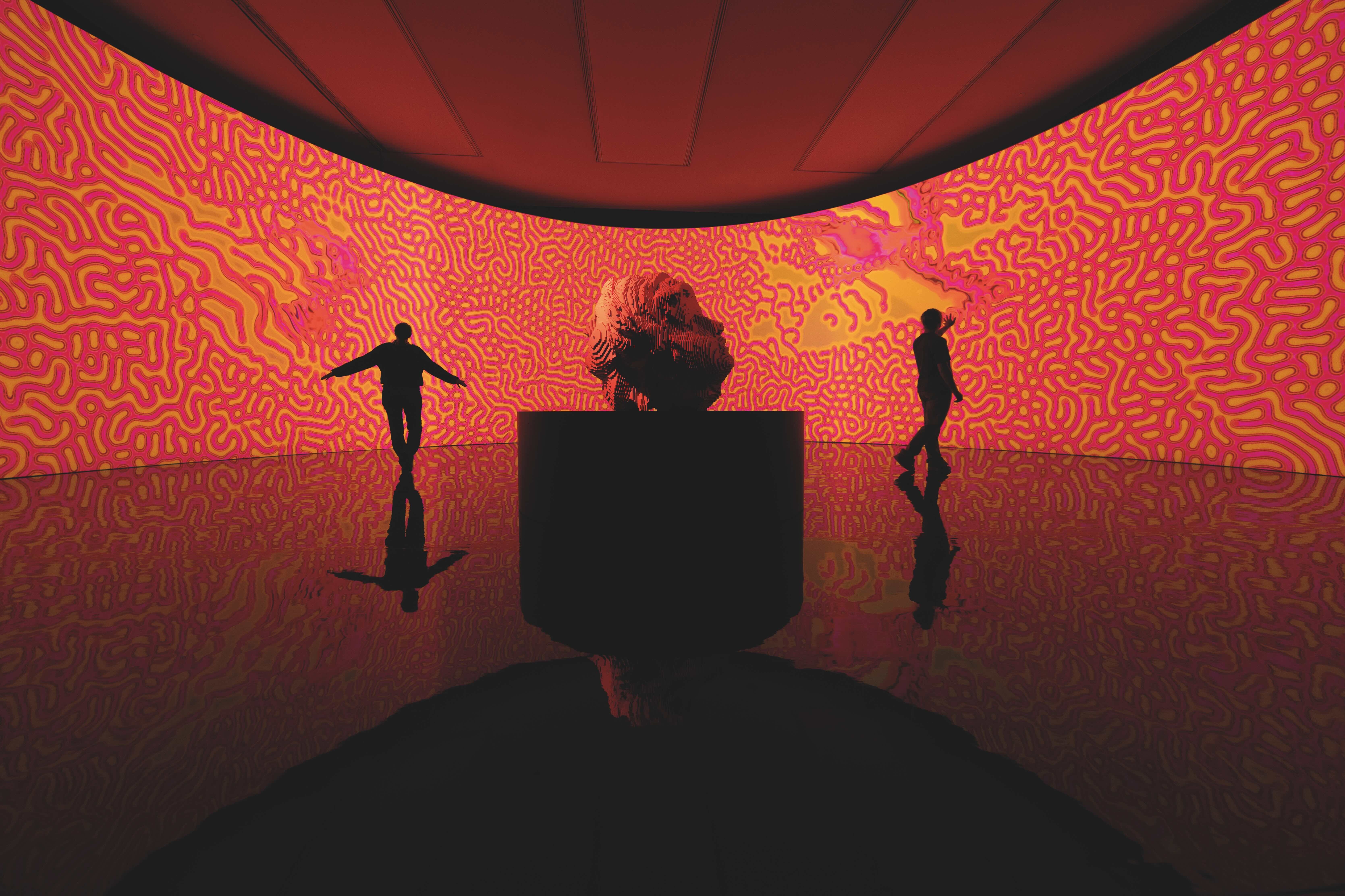 Miguel Chevalier, Digital  By Nature  © Thomas Granovsky