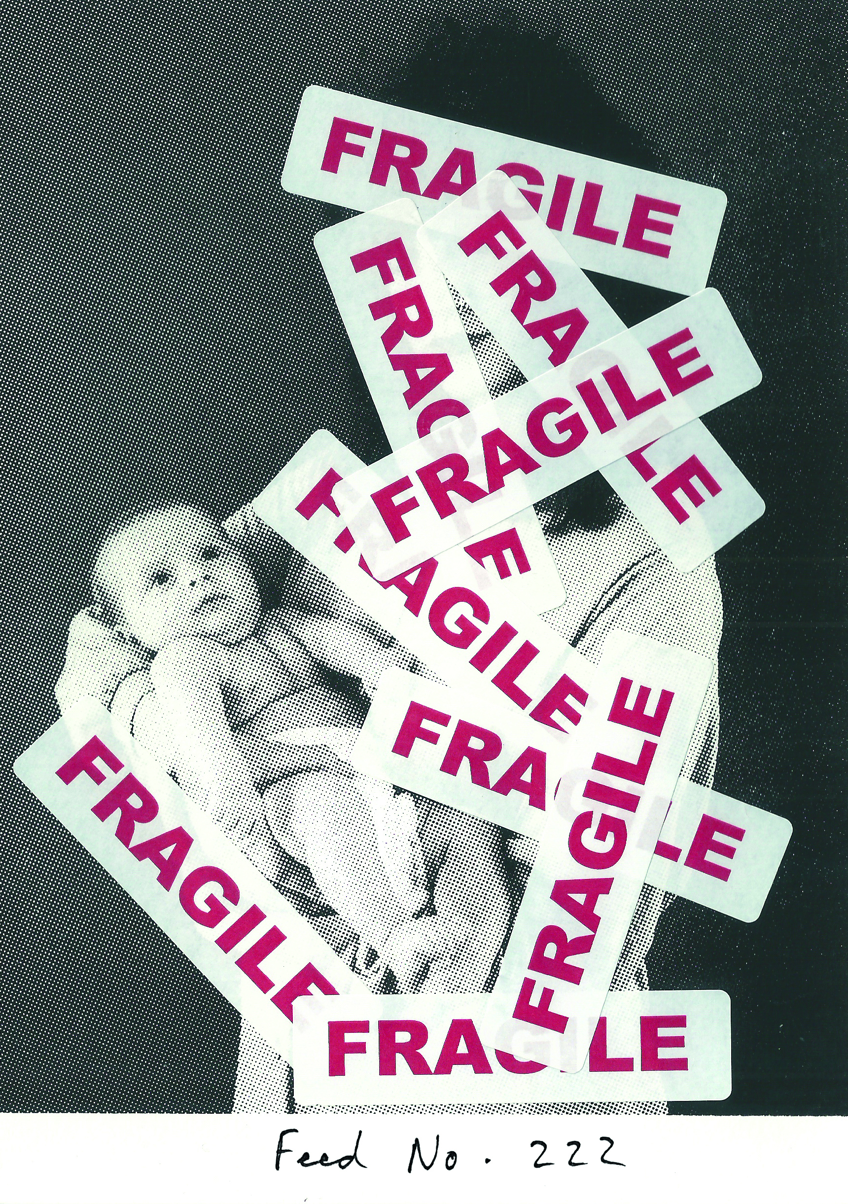 Sarah Maple, Labour of love, Fragile
