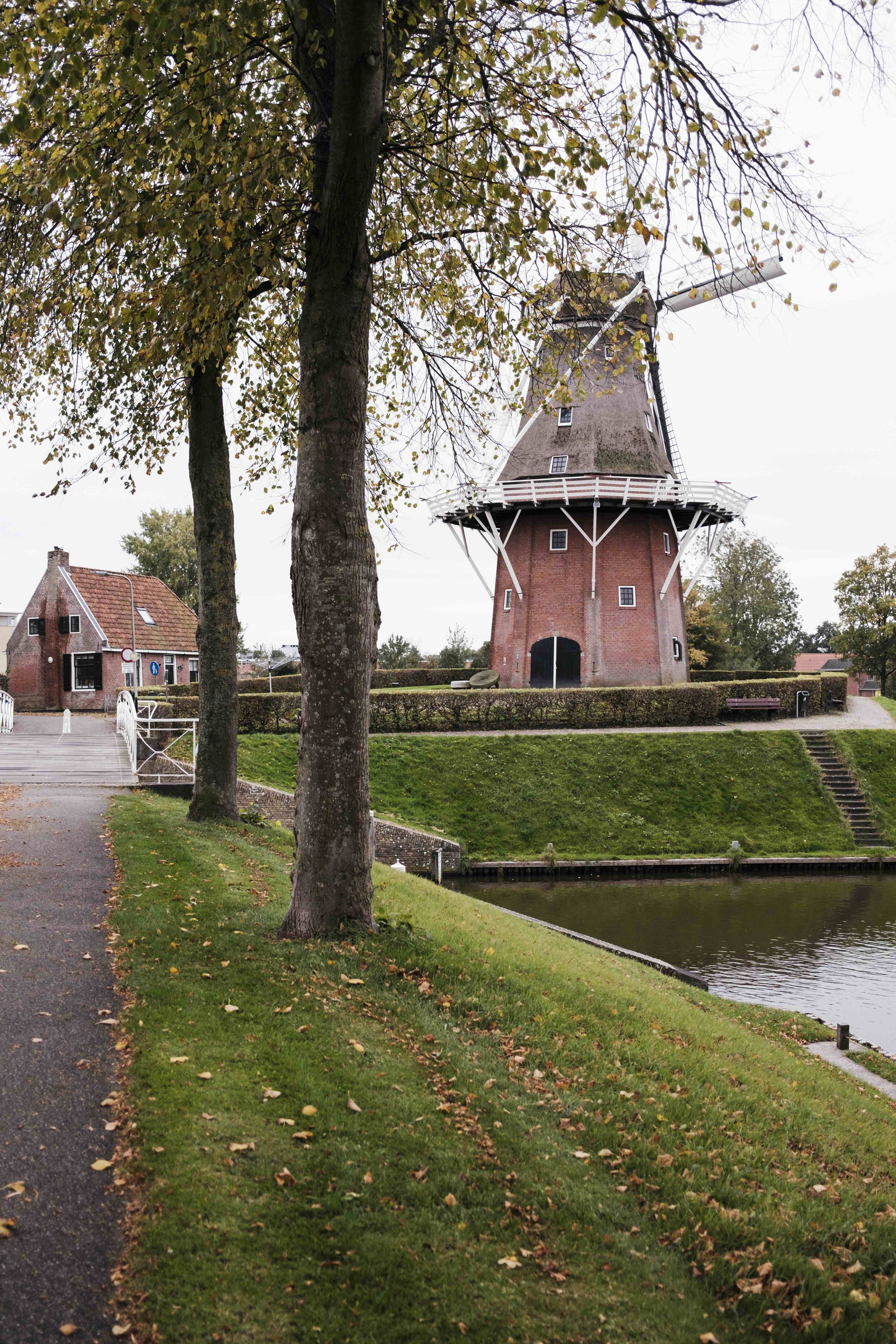 Dokkum herfst