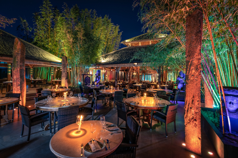 BamBuddah Ibiza