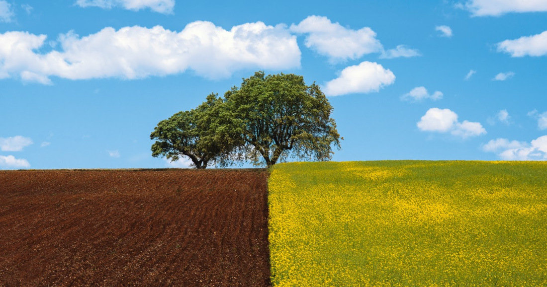 Alentejo - Portugal