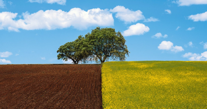Alentejo - Portugal