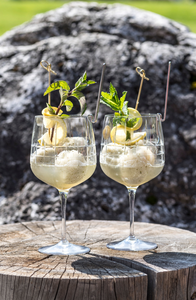 Cyprianerhof - Frozen Hugo © Rier Helmuth