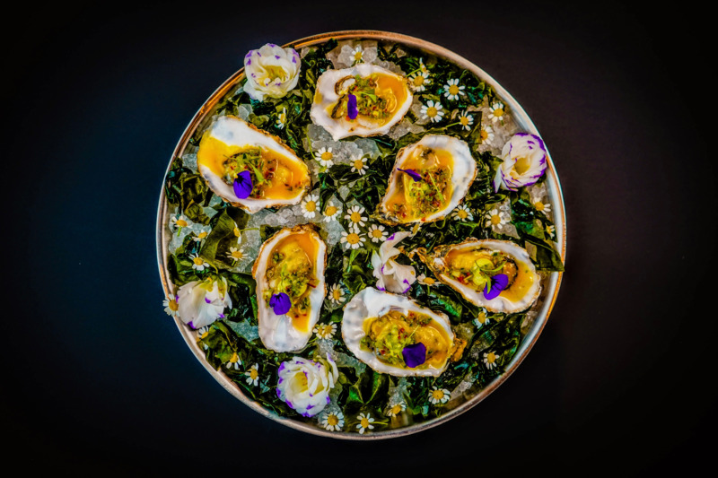 Oyster - BlueBlood The Hague