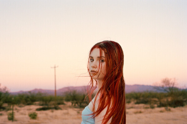 © Tony Dočekal, Twelve (2025)