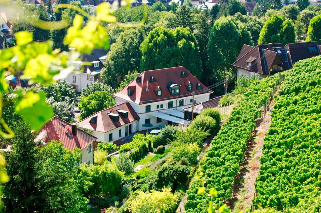 Staatsweingut Karlsruhe Durlachl Karlsruhe Tourismus GmbH Foto-Andrea Fabry