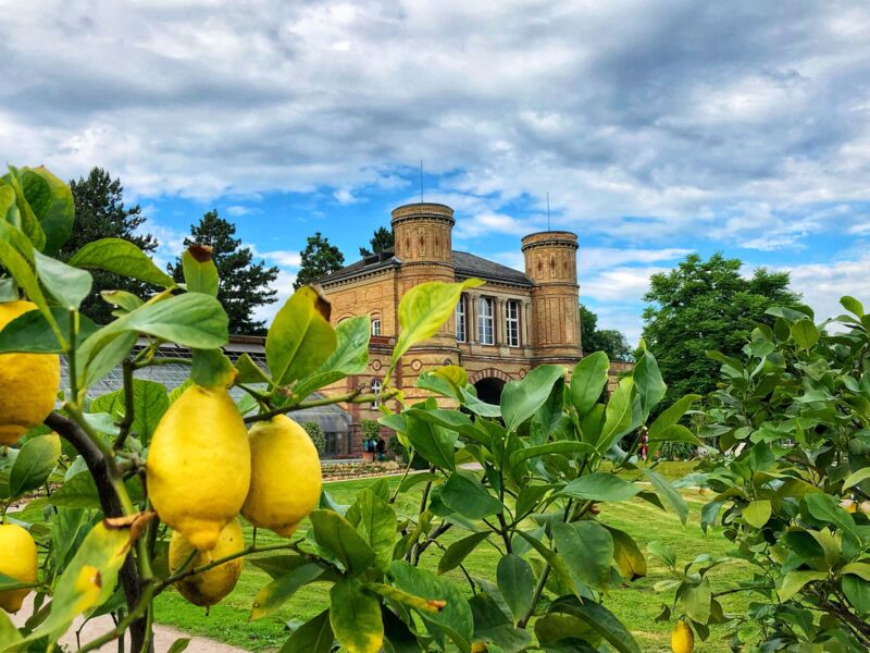 Botanischer Garten © Karlsruhe Tourismus