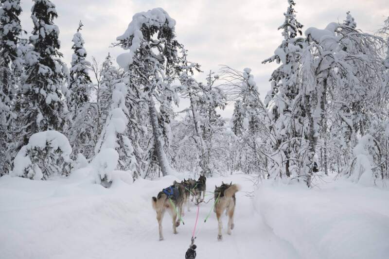 Betoverend landschap  tijdens de husky safari © Foto’s Ask James/Edward van Hees