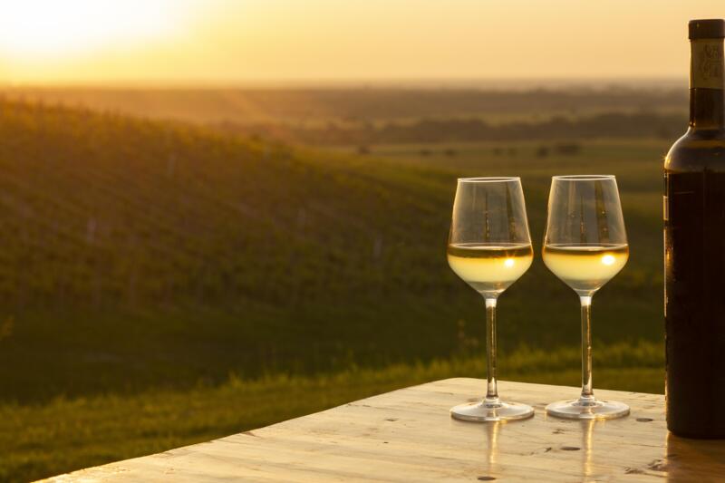 © Siniša Uštulica