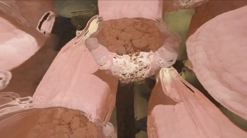 Calan Interior - Haven Hotel Rotterdam