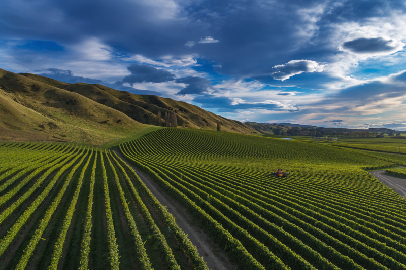 Lawson's Dry_Hills Awatere Valley vineyard Blind Rive