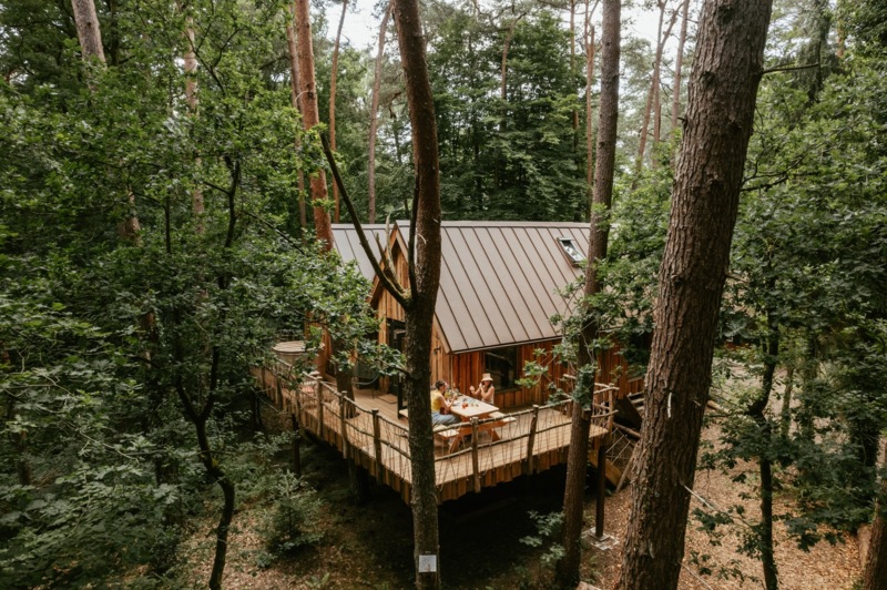 Natuurhuisje 81761: Boomhut in de Oisterwijkse Bossen 