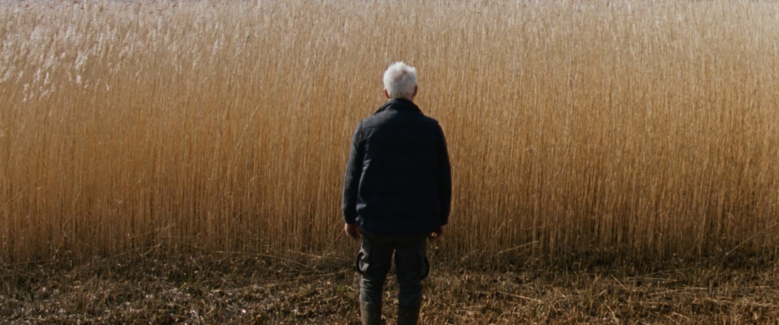 Rietland, Viking Film / Cinéart