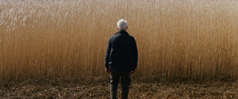 Rietland, Viking Film / Cinéart