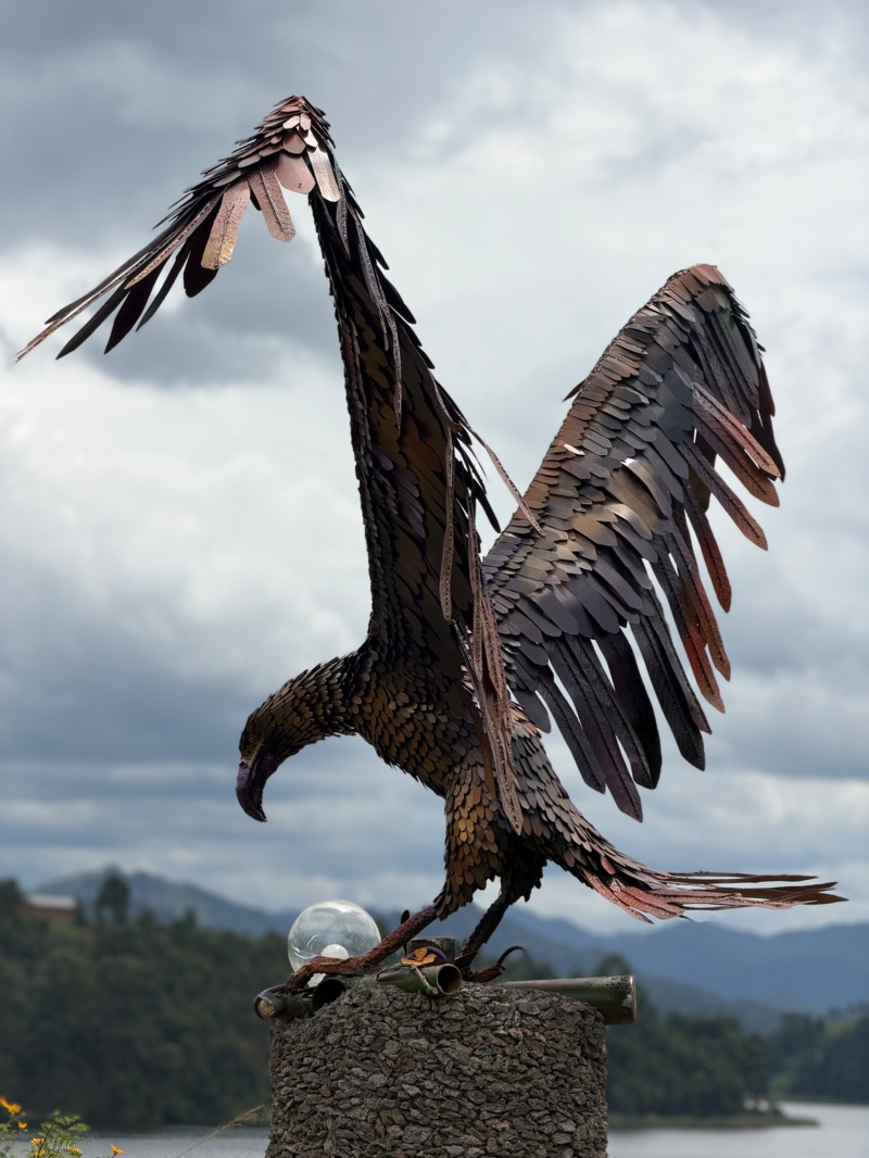 African_Fish_Eagle_Yiga_Denton_image_courtesy_of_kisoroartisland.com