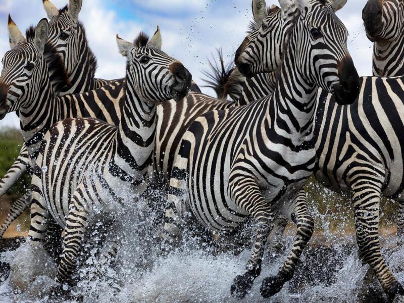 Great Plains Conservation ol Donyo Lodge © Marius Coetzee