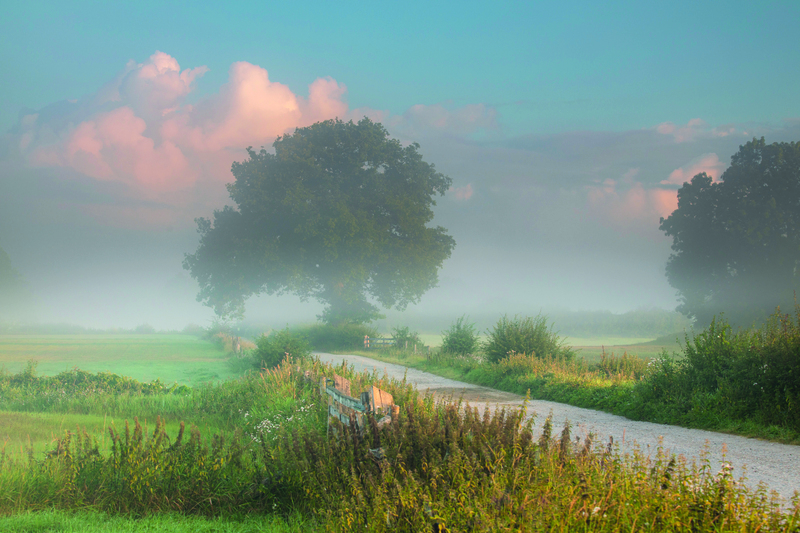 Uiterwaarden van de IJssel  © Joost  Wiltink