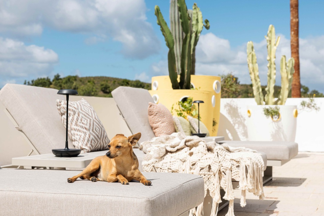 Studi Unhyde - The Playful Range