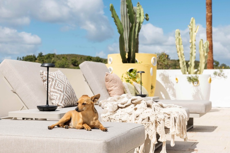 Studi Unhyde - The Playful Range