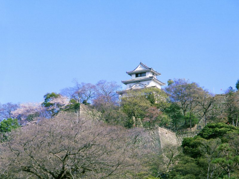 Marugame Castle ©Courtesy of Kagawa Prefecture Tourism Association