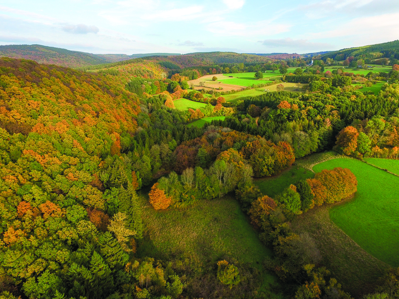 Belgische Ardennen Herfstkleuren © Martin Dellicour