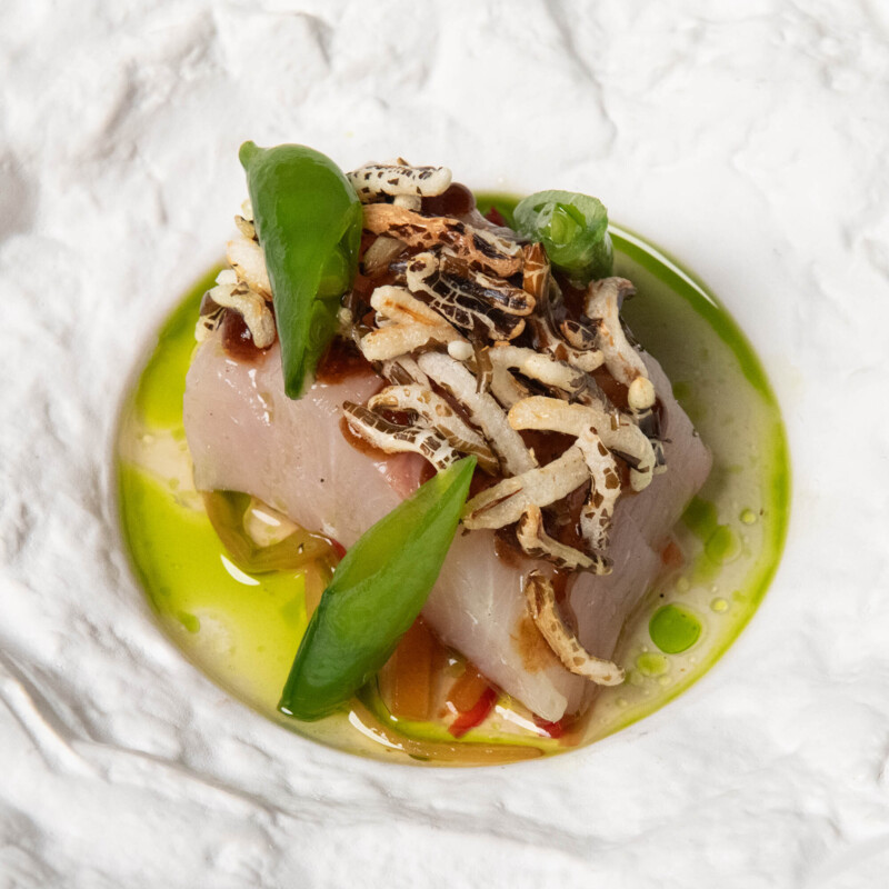 Aan de Poel Kingfish