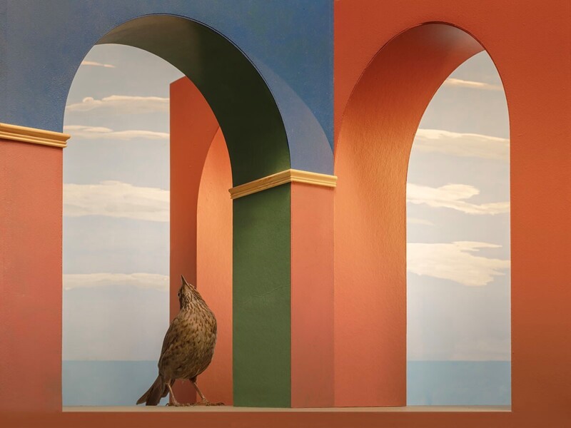 © Han van Asch