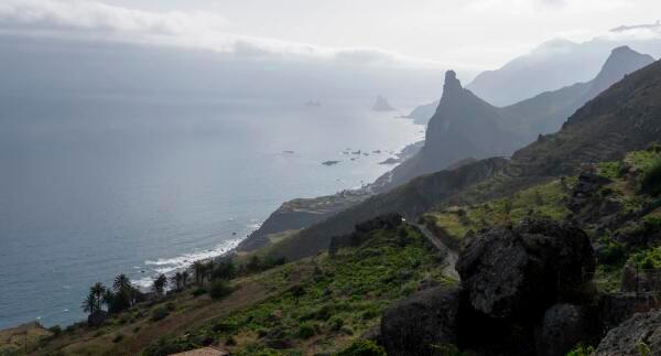Coastline.jpeg Credit: Turismo de Tenerife
