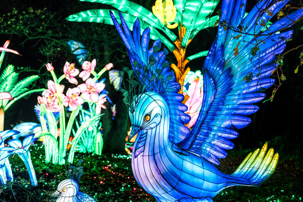 Light Safari Beekse Bergen
