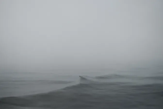 Transcripts of a Sea © Stephan Vanfleteren