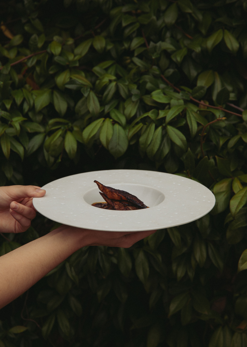 Photo © Agi Sibiga