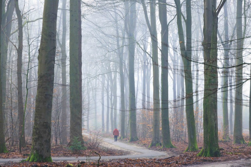 Speulderbos Ermelo