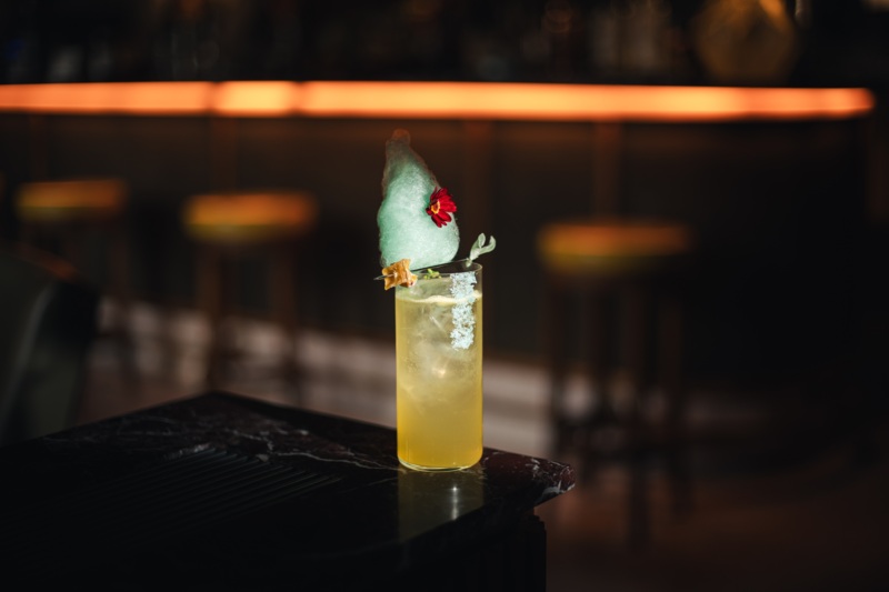 Herbarium Bar NH Collection Venezia Grand Hotel Palazzo dei Dogi