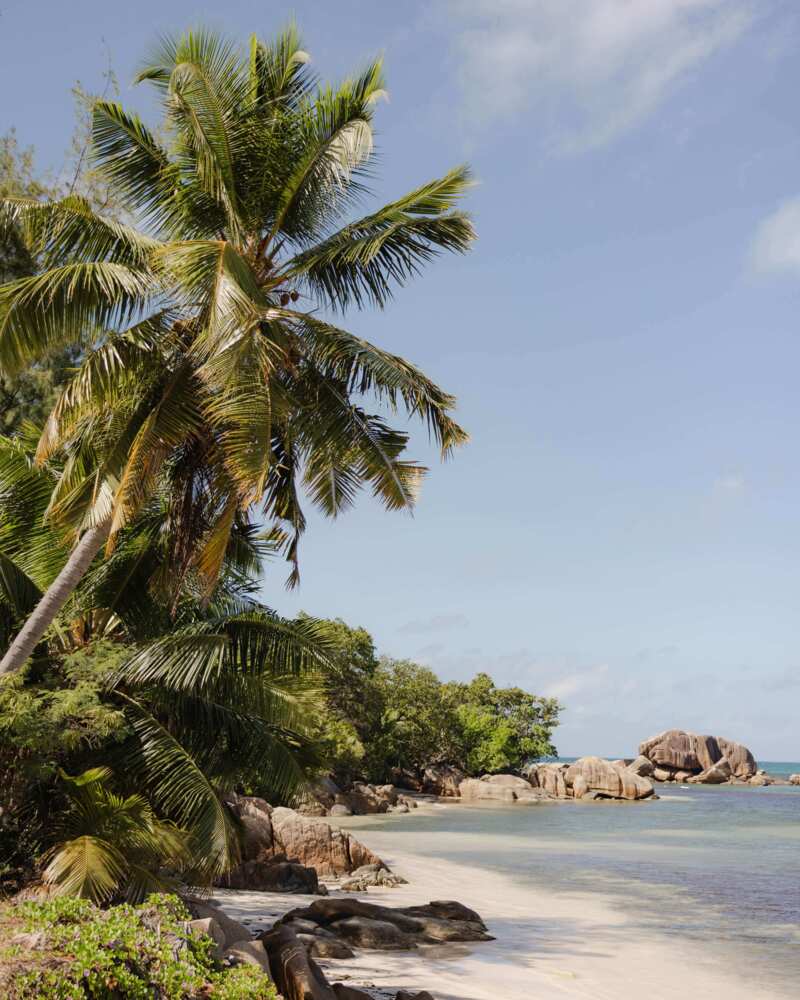 Seychelles - La Réserve Seychelles